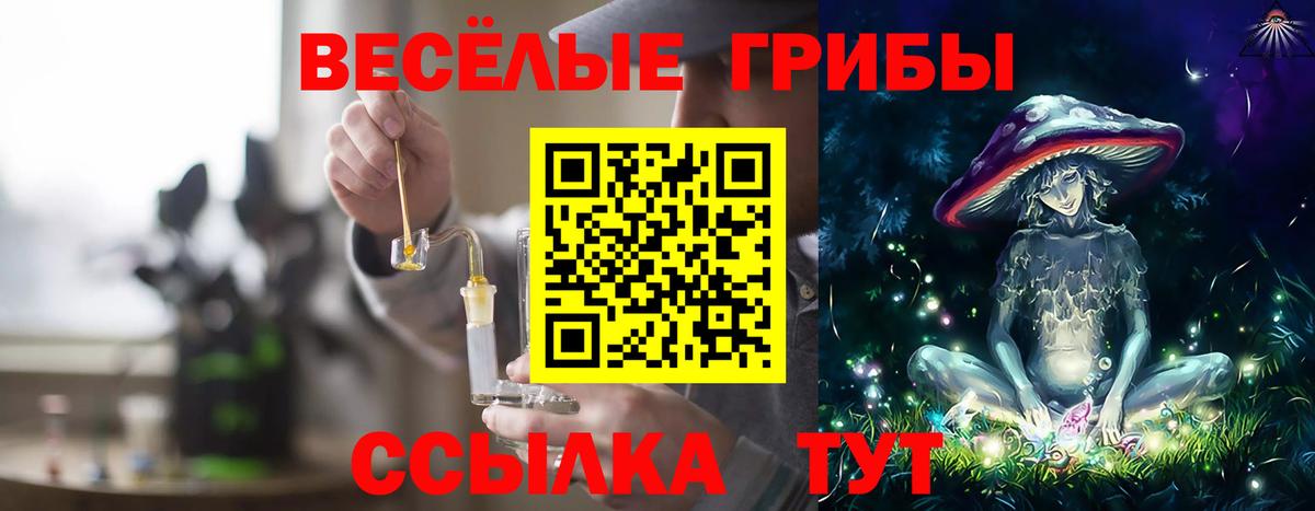 Галлюциногенные грибы Psilocybine cubensis Канск